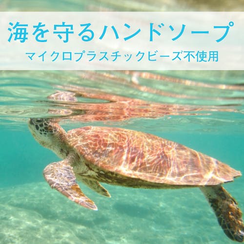 CAINZ-DASH】サラヤ 植物性スクラブハンドソープ スクラビンN