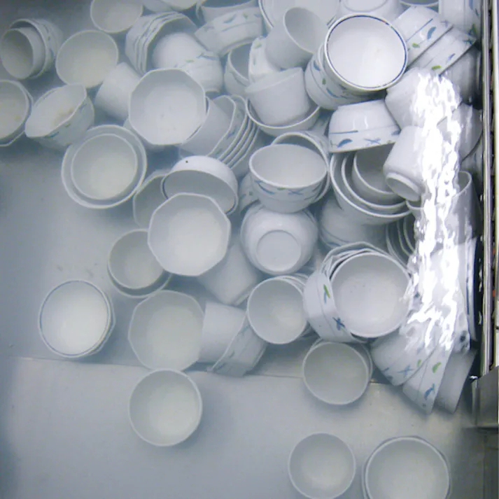 【CAINZ-DASH】サラヤ 漂白・除菌剤 酸素系漂白剤 1kg 50293【別送品】