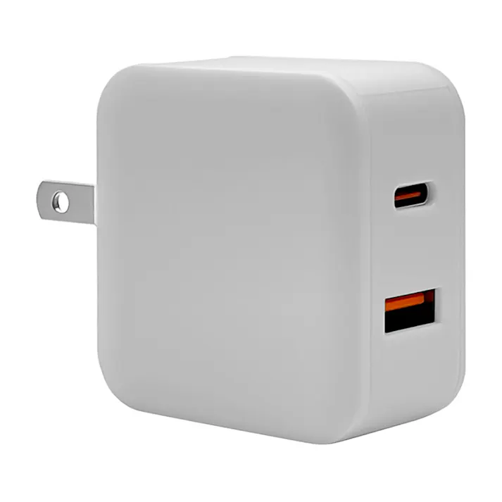 ラスタバナナ AC充電器 type-C PD20W 2口 ライトグレー RACCA20W01ULGRY