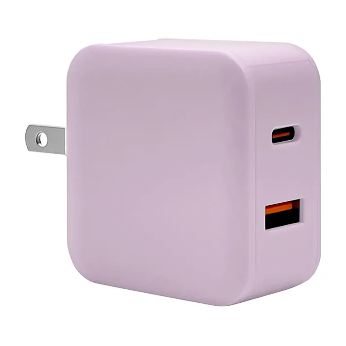 ラスタバナナ AC充電器 type-C PD20W 2口 ライトパープル RACCA20W01ULPU