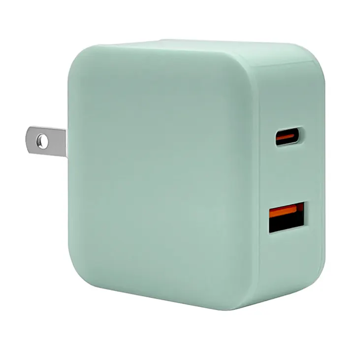 ラスタバナナ AC充電器 type-C PD20W 2口 ライトグリーン RACCA20W01ULGR