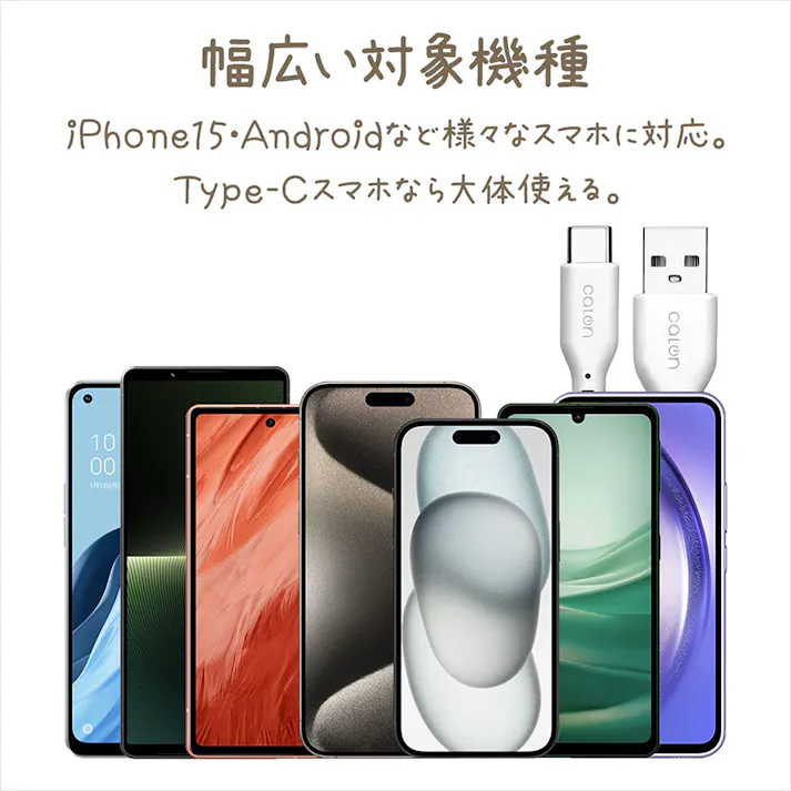 ラスタバナナ 柔らかシリコンケーブル 1.0m Type-A to Type-C calon トープ R10CAAC3A06TA