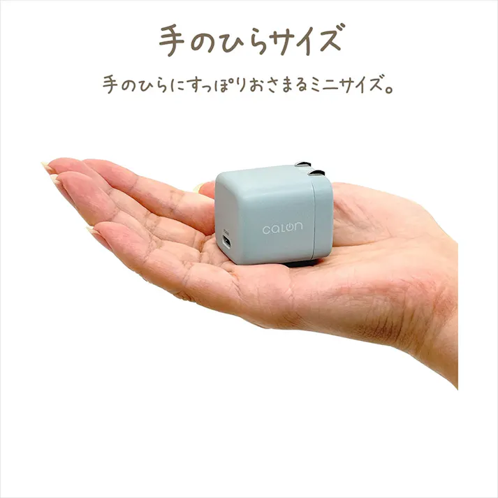 ラスタバナナ PD20W対応 TYPE-C 1ポート AC充電器 ライトイエロー RACC20W05LYL