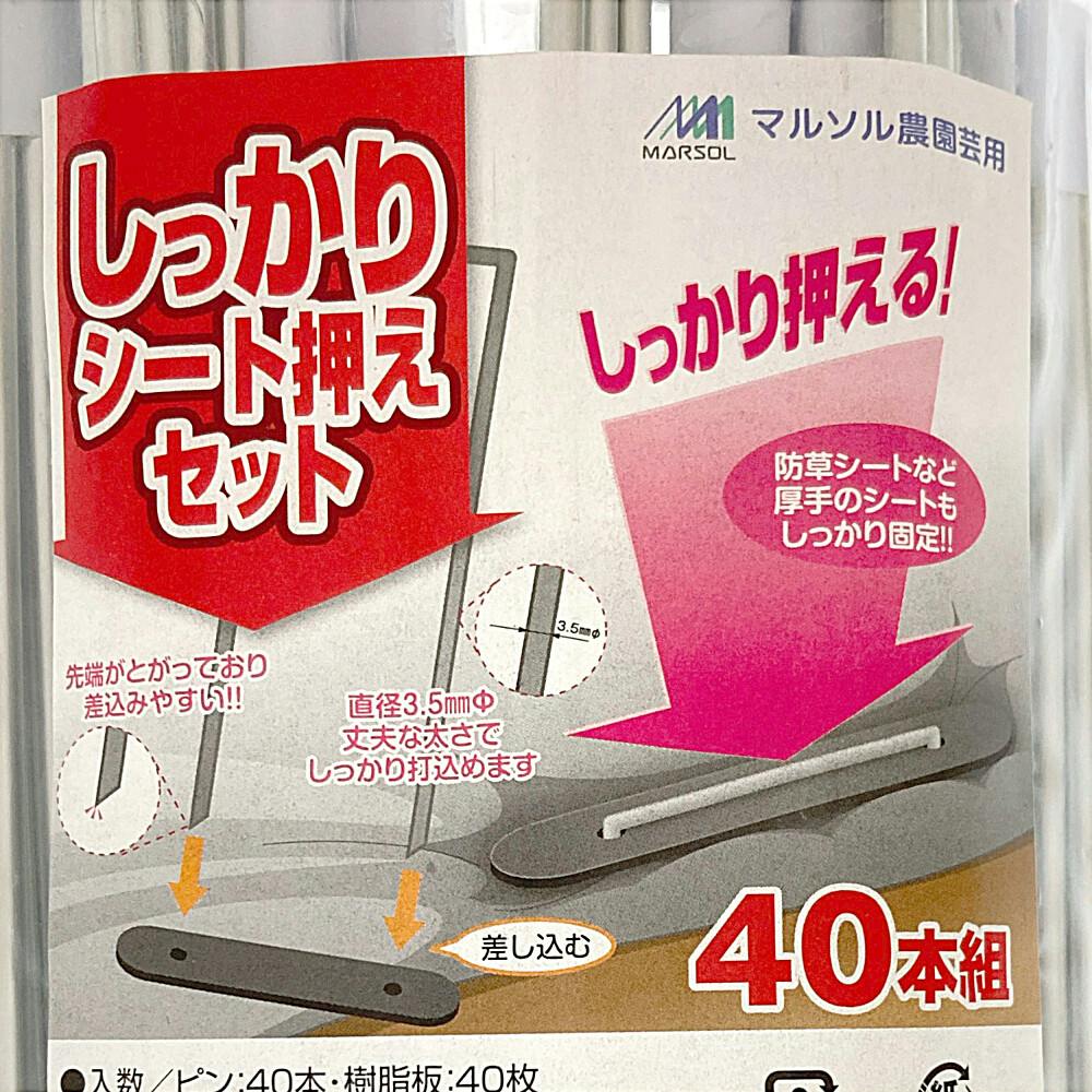 しっかりシート押えセット (40本組) DDHC07534 | 被覆資材 通販