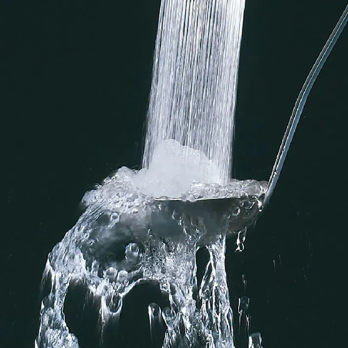 ハンドシャワー付シングルレバー混合水栓 RSF-831Y