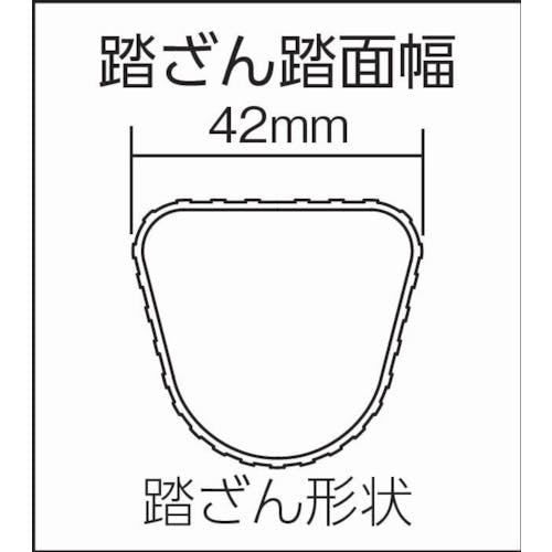 CAINZ-DASH】ピカコーポレイション ２連はしごスーパーコスモス