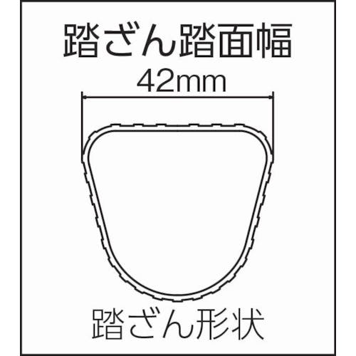 CAINZ-DASH】ピカコーポレイション １連はしごスーパーコスモス