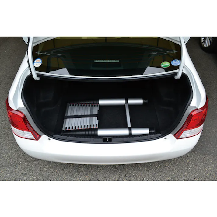 【CAINZ-DASH】ピカコーポレイション 伸縮はしご PTH-S420J【別送品】