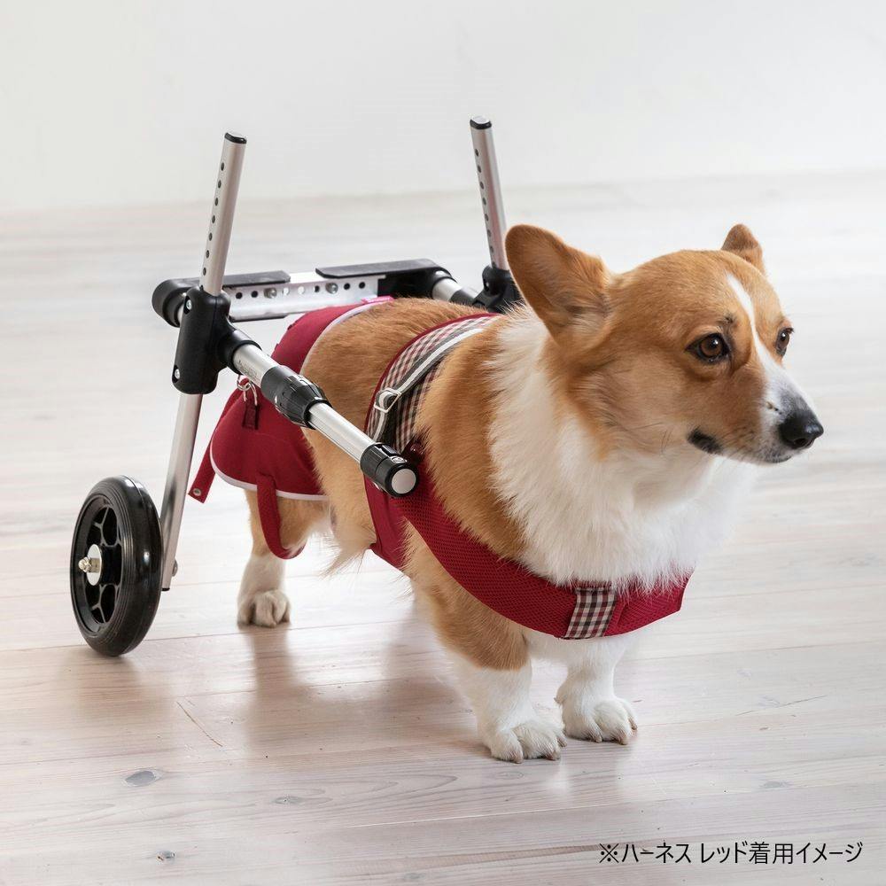 犬用車椅子　コーギー向け