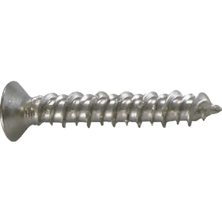 【CAINZ-DASH】ユニカ プラグレスアンカー ノンプラビス ステンレス ナベ Bドリル付 PS-438B (85本) PS-438B【別送品】