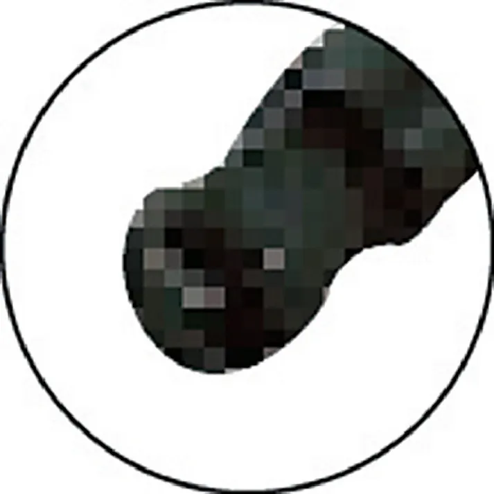 【CAINZ-DASH】京都機械工具 6.3sq.ロングボールポイントヘキサゴンビットソケット4mm BT2-04BPL【別送品】