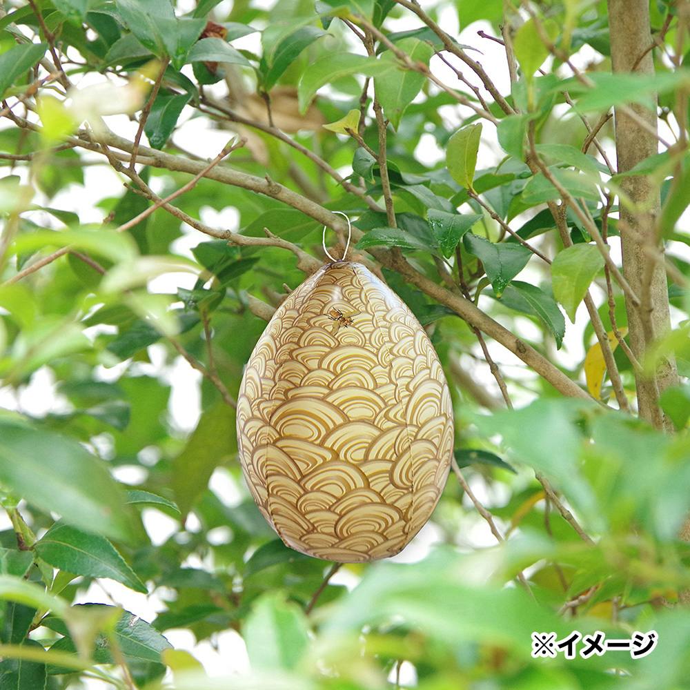 BEEHIVE（蜂の巣）　カイフランク BEEHIVE（蜂の巣） カイフランク