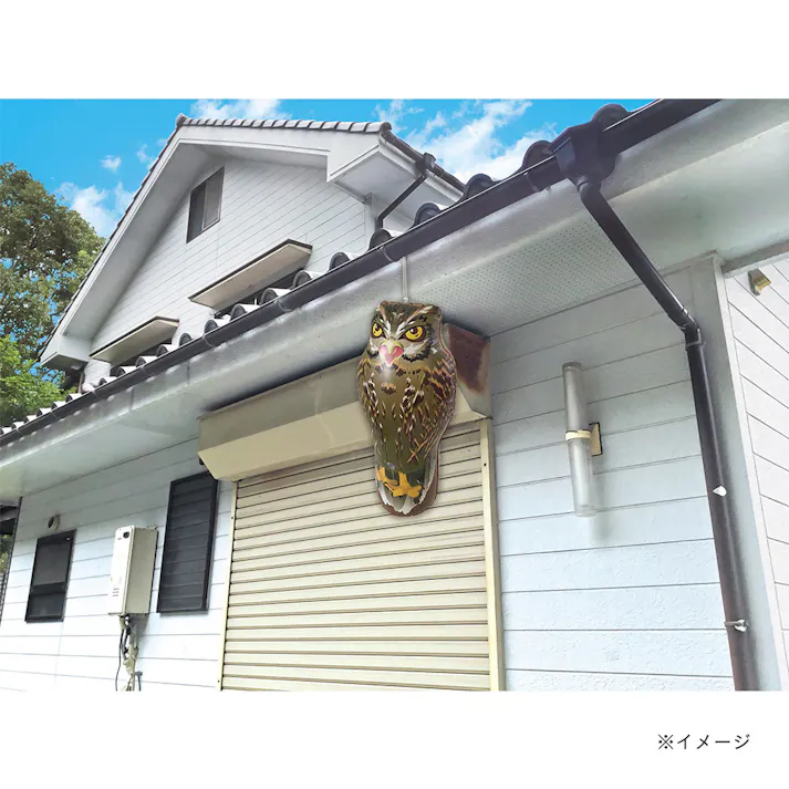 龍宝丸 鳥追いフクロウ K-903