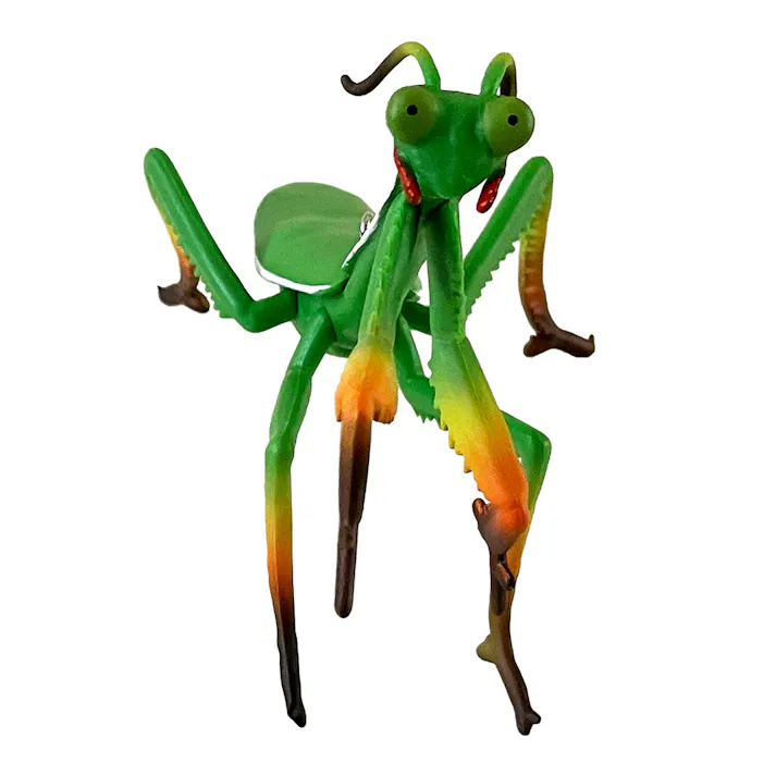 イヤ~な虫の天敵 カマキリ M-51