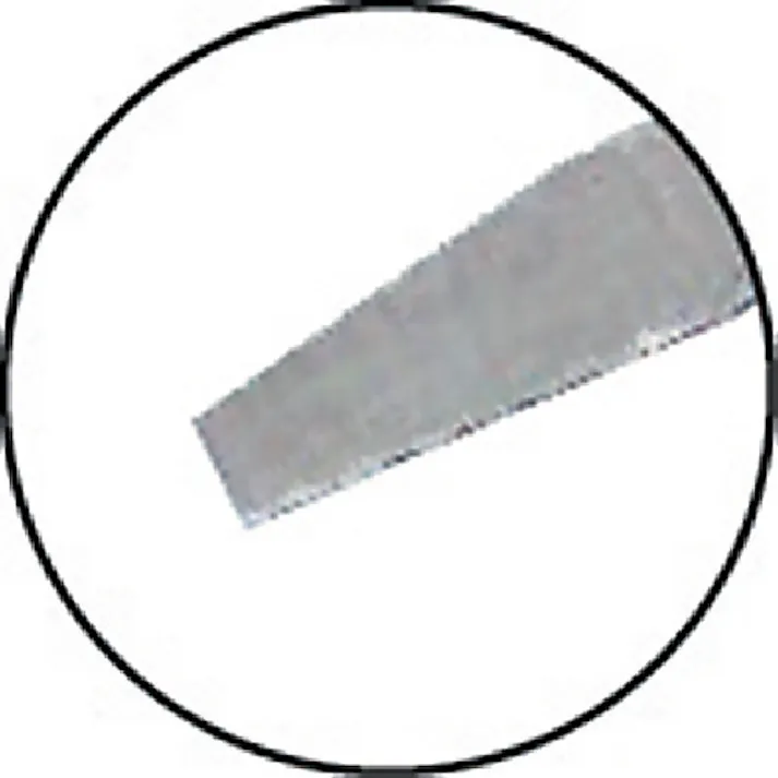 【CAINZ-DASH】エンジニア パールドライバー -1.6×0.3 DZ-01【別送品】