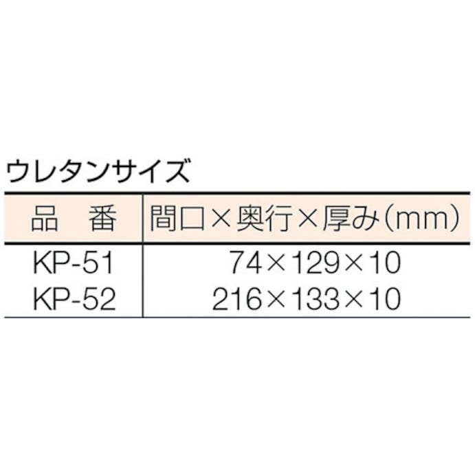 【CAINZ-DASH】エンジニア ＩＣケース KP-52【別送品】