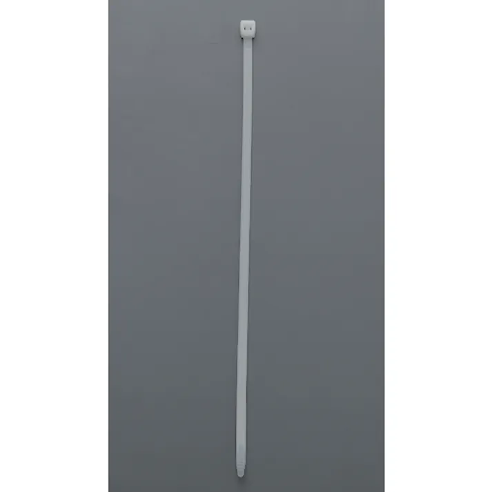 【CAINZ-DASH】トラスコ中山 ケーブルタイ 幅4.8mmX250mm 最大結束Φ60 100本入 TRCVJ-250【別送品】