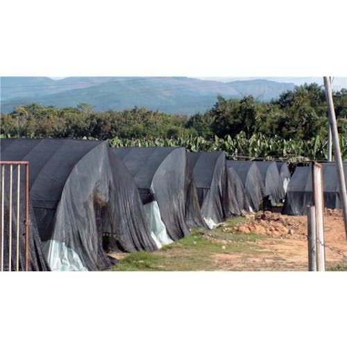 ネデンヨラカイタンハ　25日迄 防汚・遮光カーテン マット ホワイト 100×178cm 2枚組