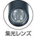 【CAINZ-DASH】トラスコ中山 アルミＬＥＤライト　１球　１０ルーメン　ペンタイプ　シルバー TAL-21AN-SV【別送品】