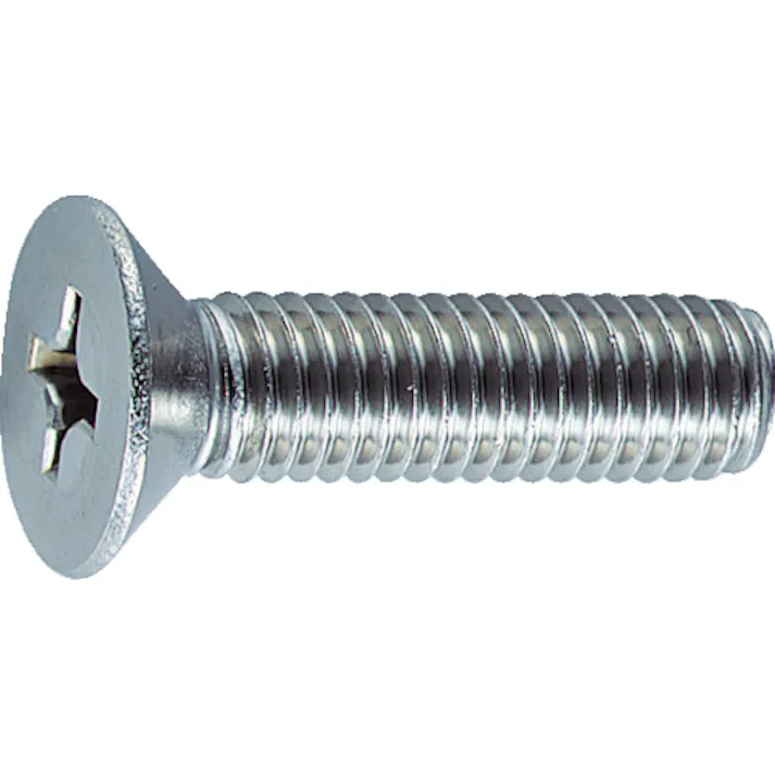 【CAINZ-DASH】トラスコ中山 皿頭小ねじ ステンレス 全ネジ M6×50 15本入 B06-0650【別送品】