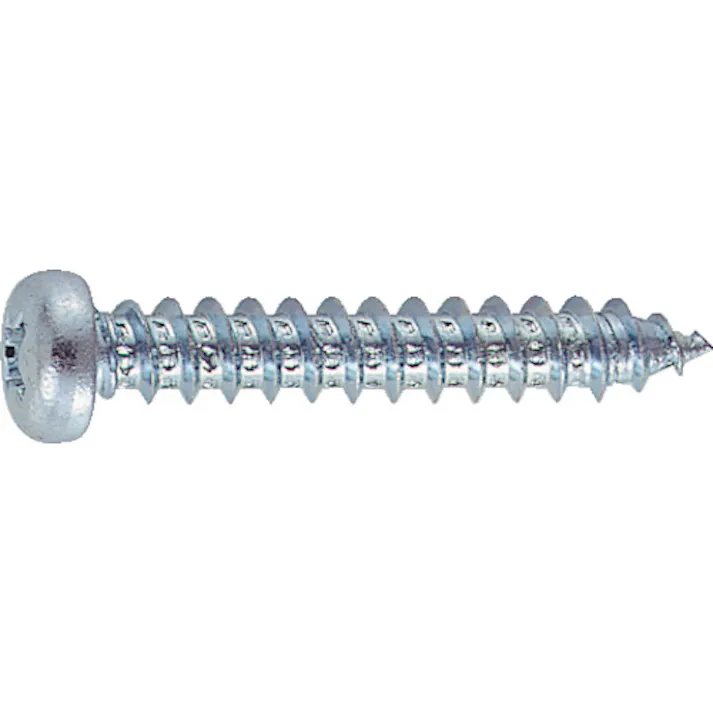 【CAINZ-DASH】トラスコ中山 ナベ頭タッピングねじ 1種A ユニクロ M5×10 110本入 B07-0510【別送品】