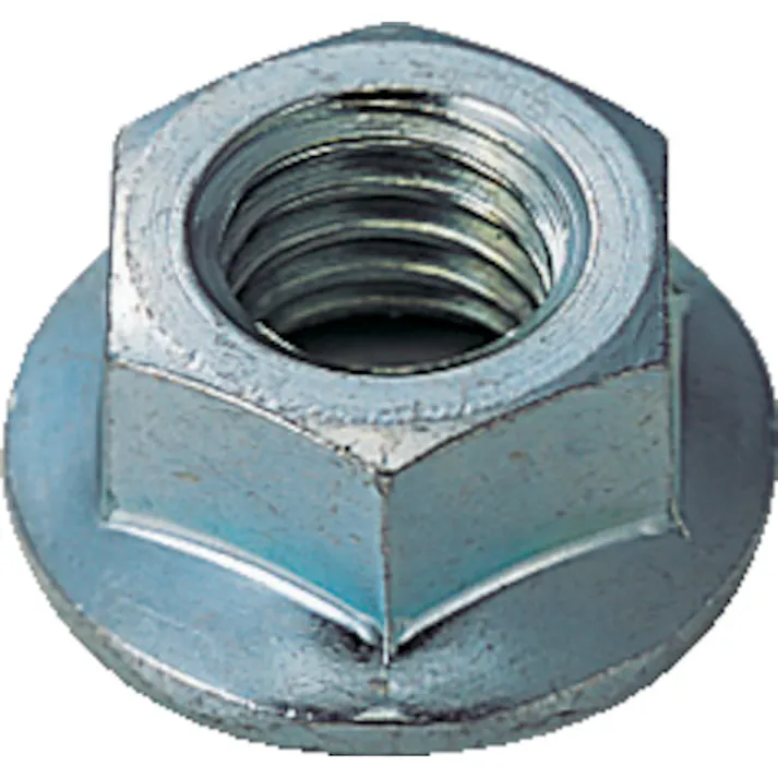 【CAINZ-DASH】トラスコ中山 フランジナット ユニクロ M6×1.0 100個入 B79-0006【別送品】