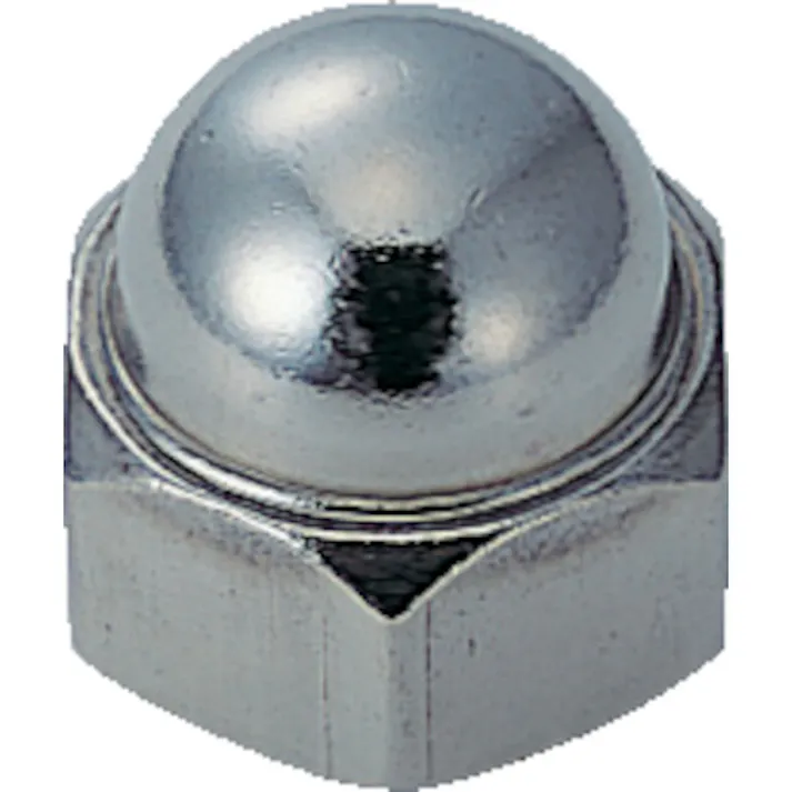 【CAINZ-DASH】トラスコ中山 袋ナット3形2種 ステンレス M3×0.5 40個入 B40-0003【別送品】