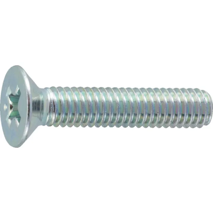【CAINZ-DASH】トラスコ中山 皿頭小ねじ 三価白 全ネジ M3×25 115本入 B702-0325【別送品】