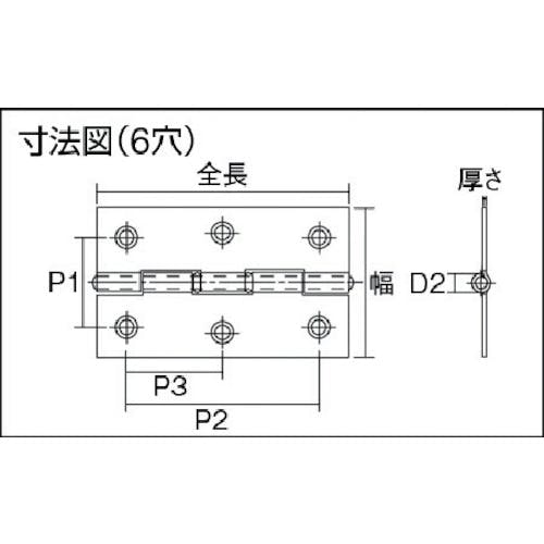 CAINZ-DASH】トラスコ中山 ステンレス製中厚蝶番 ナイロンリング入