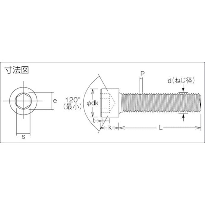 【CAINZ-DASH】トラスコ中山 六角穴付ボルト　チタン　強度Ｔｉ２　全ネジ　Ｍ６Ｘ１０　３本入　／キャップボルト（ＣＡＰ） TB97-0610【別送品】