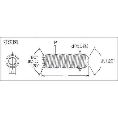 CAINZ-DASH】トラスコ中山 六角穴付止めねじ チタン M6X15