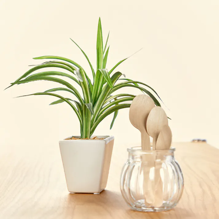 【CAINZ-DASH】トラスコ中山 木製スプーン 全長140mm 100本入 WSP-140【別送品】