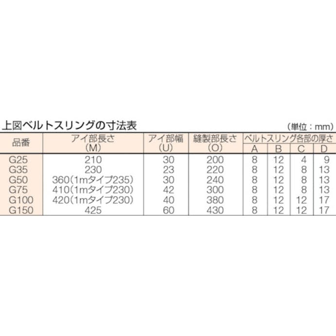 【CAINZ-DASH】トラスコ中山 ベルトスリング　ＪＩＳ３等級　両端アイ形　３５ｍｍＸ２．０ｍ G35-20【別送品】