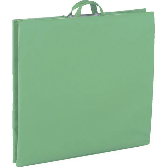 【CAINZ-DASH】トラスコ中山 ハンドトラックボックス蓋つき650×470 THB-100E【別送品】