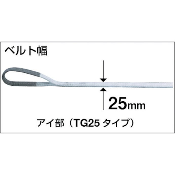 【CAINZ-DASH】トラスコ中山 ベルトスリング　ＪＩＳ１等級　化学薬品用　２５ｍｍＸ１．０ｍ TG25-10C【別送品】