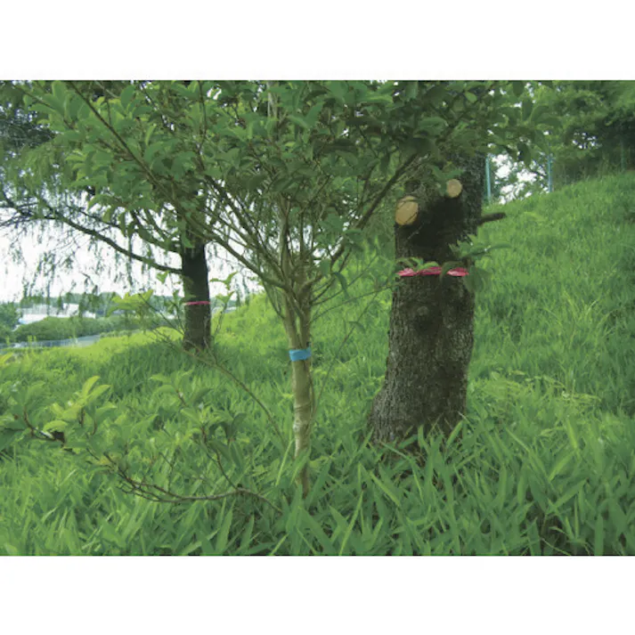 【CAINZ-DASH】トラスコ中山 目印テープ 30mmX50m ブルー TMT-30B【別送品】