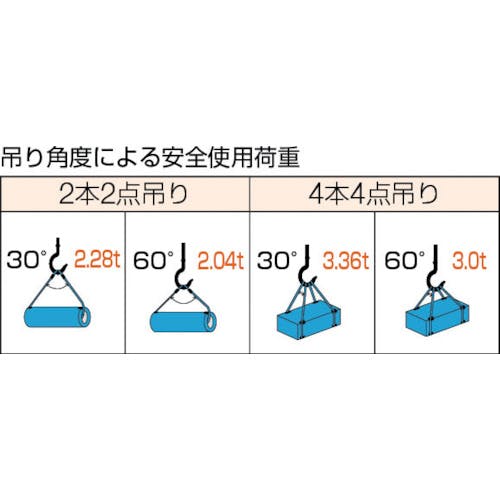 TRUSCO Wスリング Bタイプ 片端シンブル入り 12mmX2m GRB-12S2-