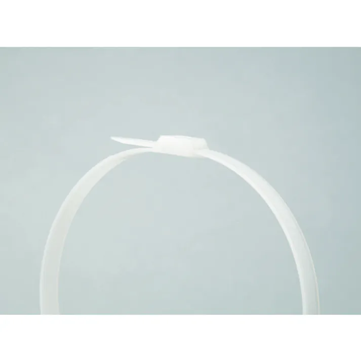 【CAINZ-DASH】トラスコ中山 インラインケーブルタイ 9.0×255 最大74 100本入 TFCV-255【別送品】