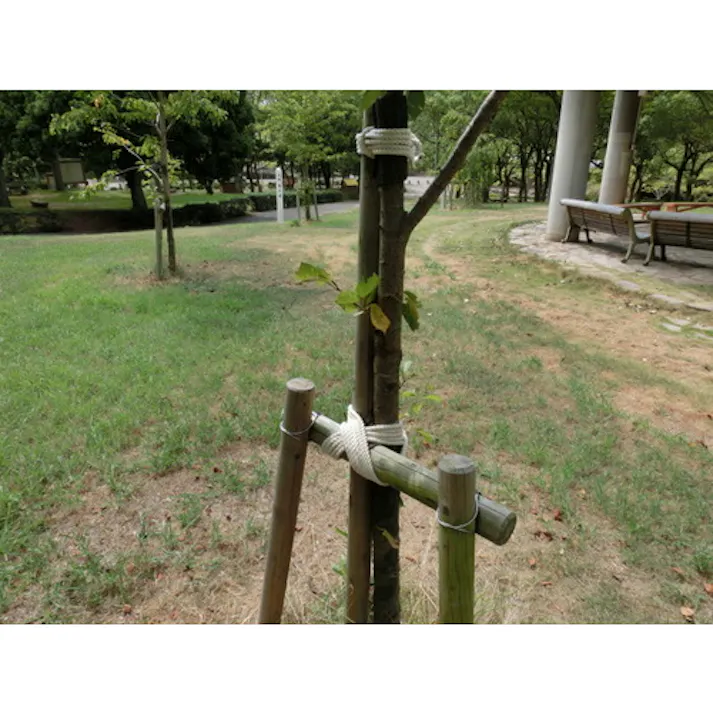 【CAINZ-DASH】トラスコ中山 綿ロープ 3つ打 線径4mmX長さ10m R-410M【別送品】