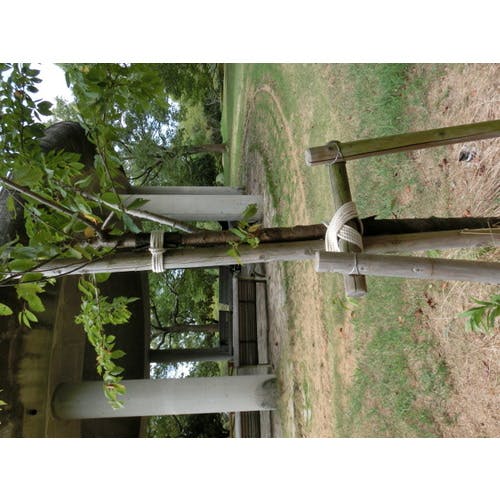 CAINZ-DASH】トラスコ中山 綿ロープ 3つ打 線径6mmX長さ30m R