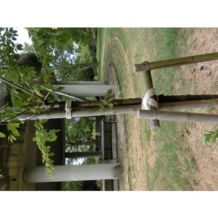 【CAINZ-DASH】トラスコ中山 綿ロープ 3つ打 線径6mmX長さ30m R-630M【別送品】