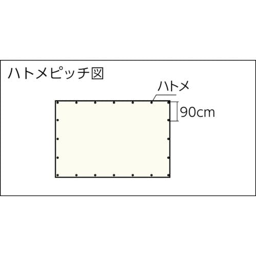 CAINZ-DASH】トラスコ中山 肩掛けなので運搬時両手が使えるブルー