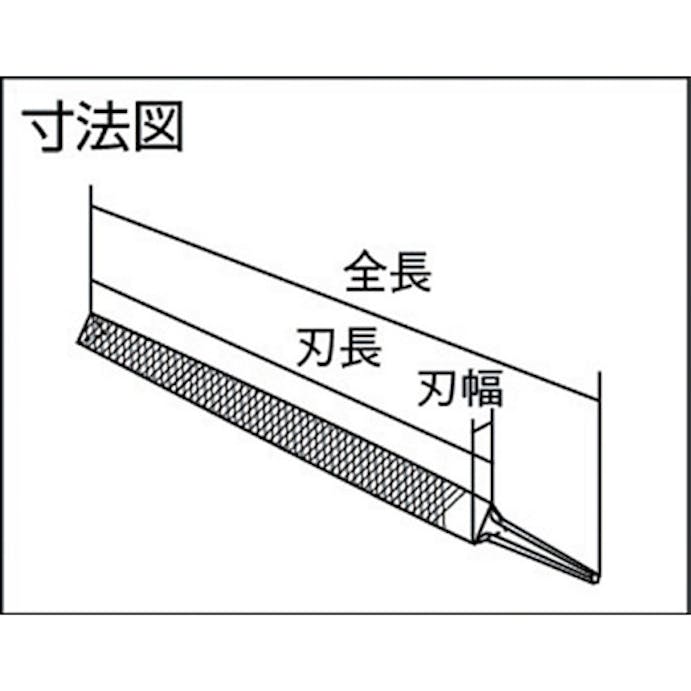 【CAINZ-DASH】トラスコ中山 鉄工用ヤスリ　三角　中目　刃長１５０ TSA150-02【別送品】