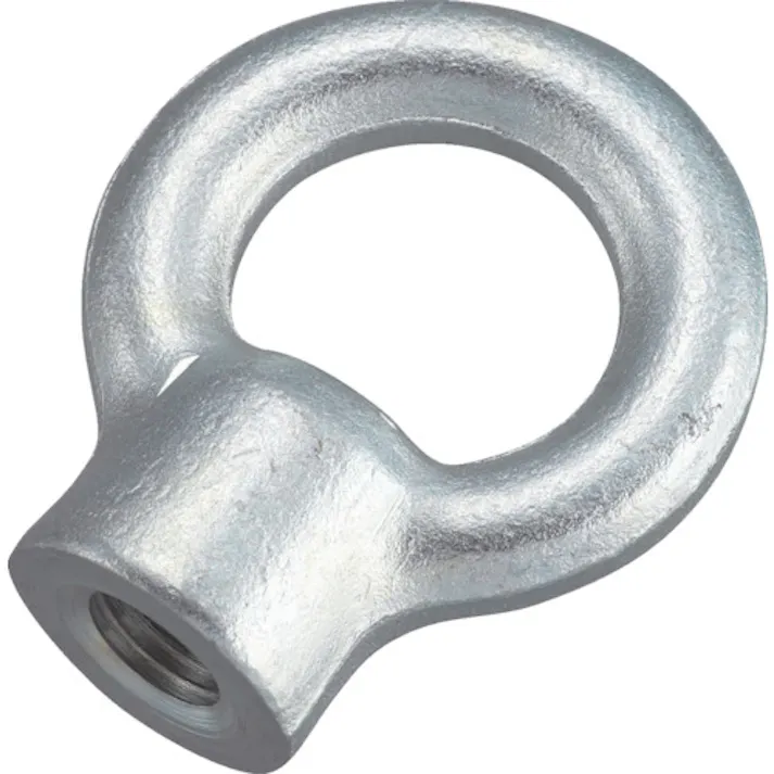 【CAINZ-DASH】トラスコ中山 アイナット スチール製 10mm TIN-10【別送品】