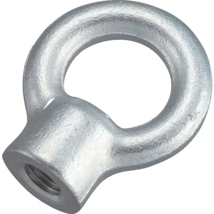 【CAINZ-DASH】トラスコ中山 アイナット スチール製 12mm TIN-12【別送品】