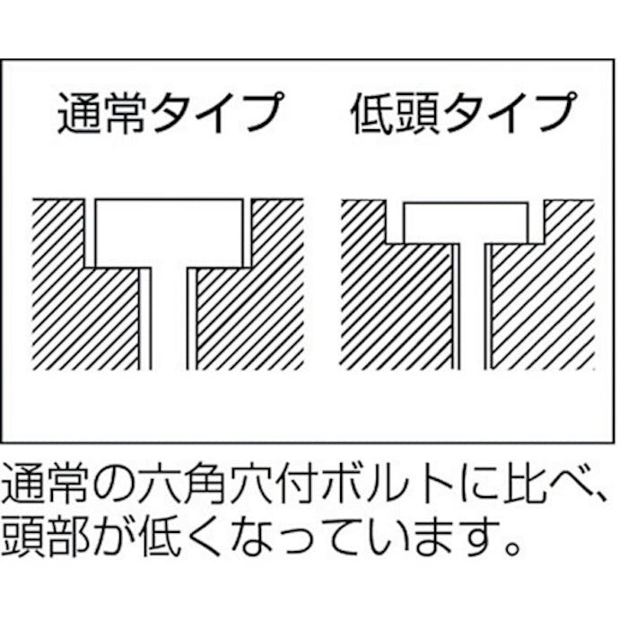 【CAINZ-DASH】トラスコ中山 低頭六角穴付ボルト　ステンレス　全ネジ　Ｍ５×１２　１２本入　／キャップボルト（ＣＡＰ） B089-0512【別送品】