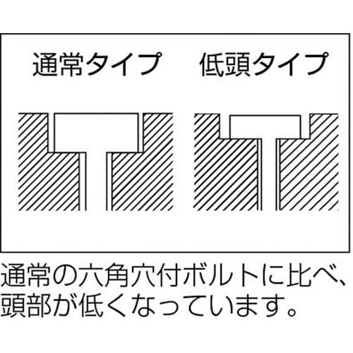 CAINZ-DASH】トラスコ中山 低頭六角穴付ボルト ステンレス 全