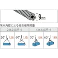 【CAINZ-DASH】トラスコ中山 玉掛けワイヤーロープ　段落し　９ｍｍＸ１ｍ TWD-9S1【別送品】