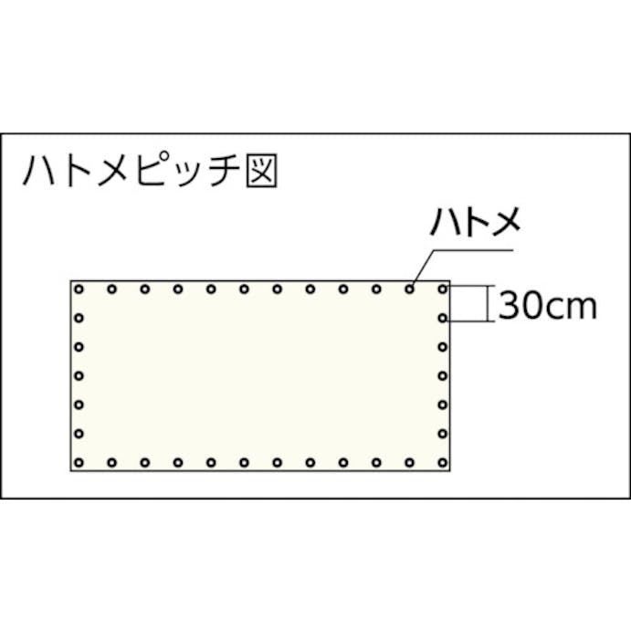 【CAINZ-DASH】トラスコ中山 ライトクリアメッシュシート　幅１．８ｍＸ長さ３．４ｍ　クリア LCM-1834-TM【別送品】