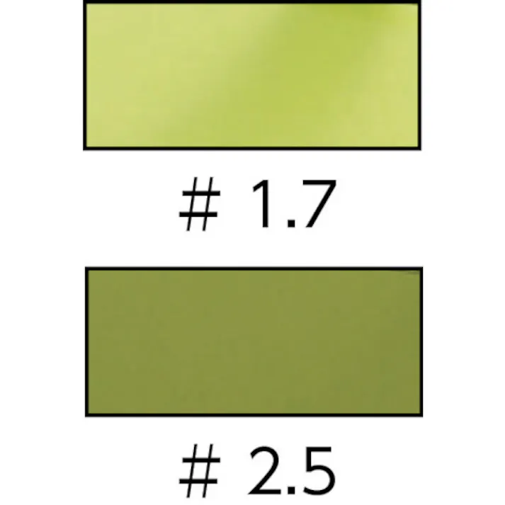 【CAINZ-DASH】トラスコ中山 曇り止め遮光メガネ#2.5 TPK200-25【別送品】